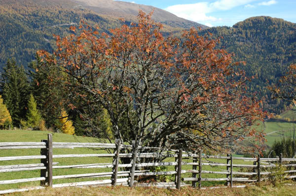 Lungau Herbst 2006 015