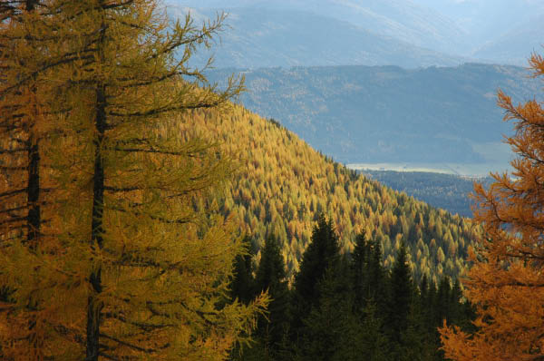 Lungau Herbst 2006 071