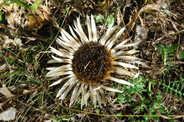 Lungau Herbst 2006 121