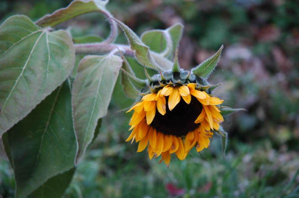 Lungau Herbst 2006 144