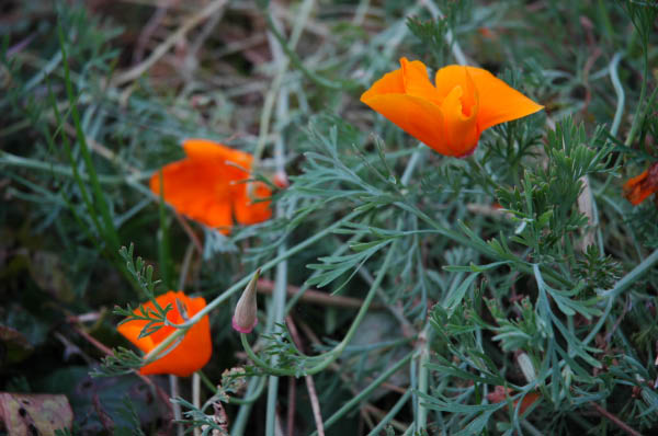 Lungau Herbst 2006 145