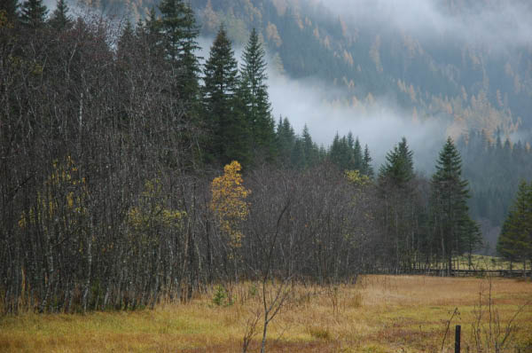 Lungau Herbst 2006 224