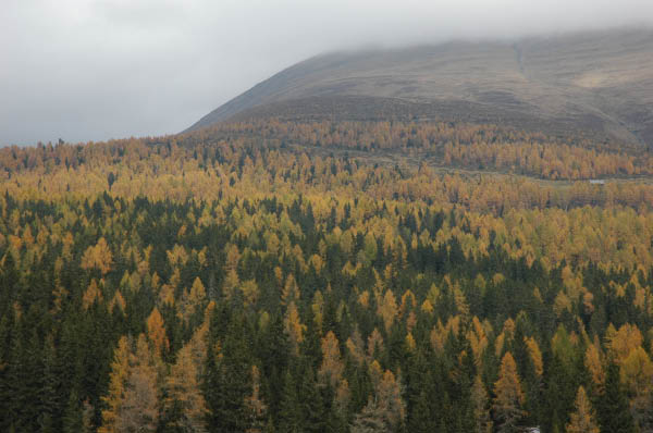 Lungau Herbst 2006 279