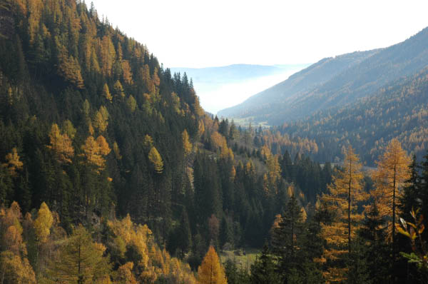 Lungau Herbst 2006 367