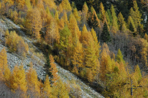 Lungau Herbst 2006 378