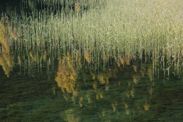 Lungau Herbst 2006 468